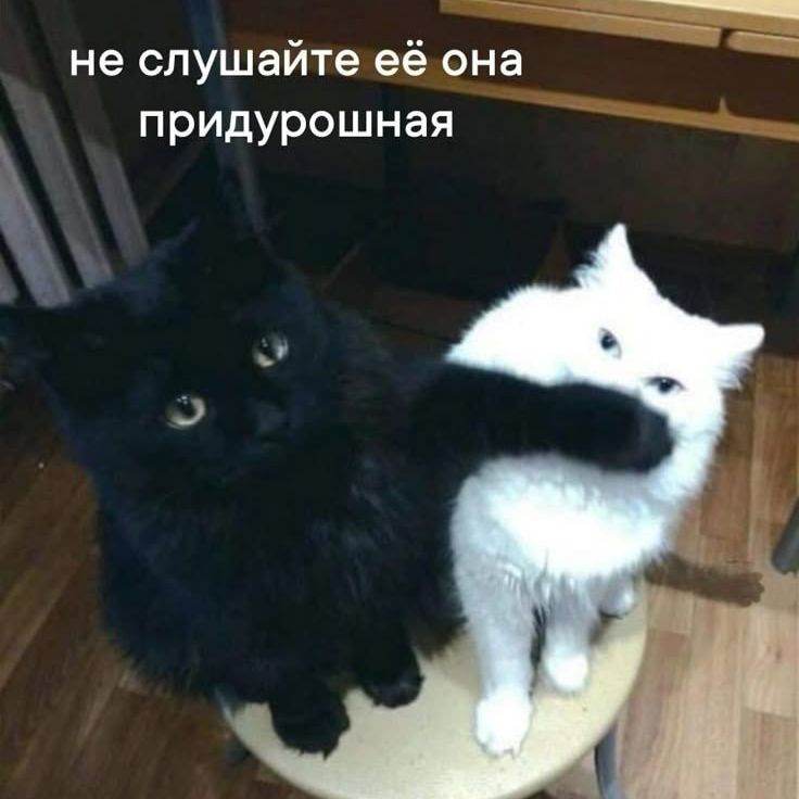 Подружка><