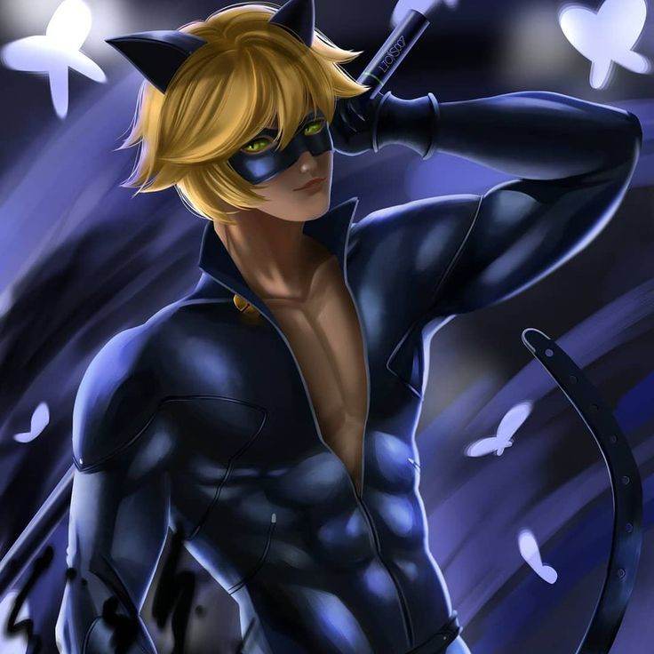 Cat Noir