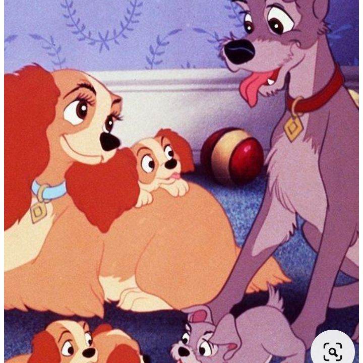 ~ леди и бродяга~