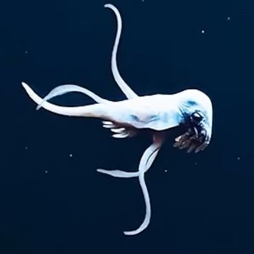 What’s happening?…