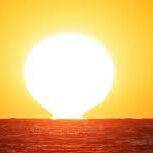 sol(falso)