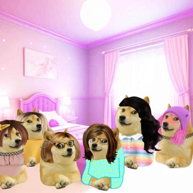 The 6 Doge sisters