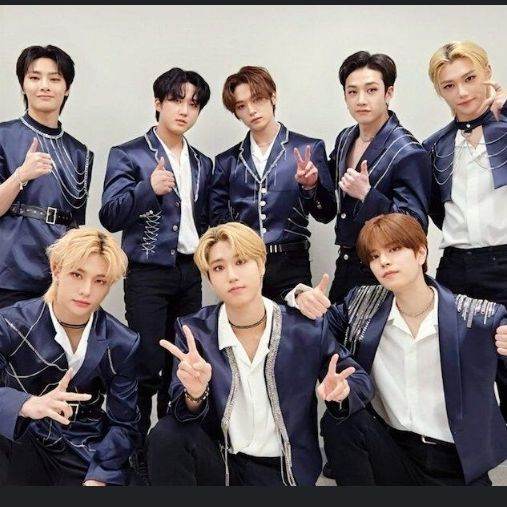 Stray kids