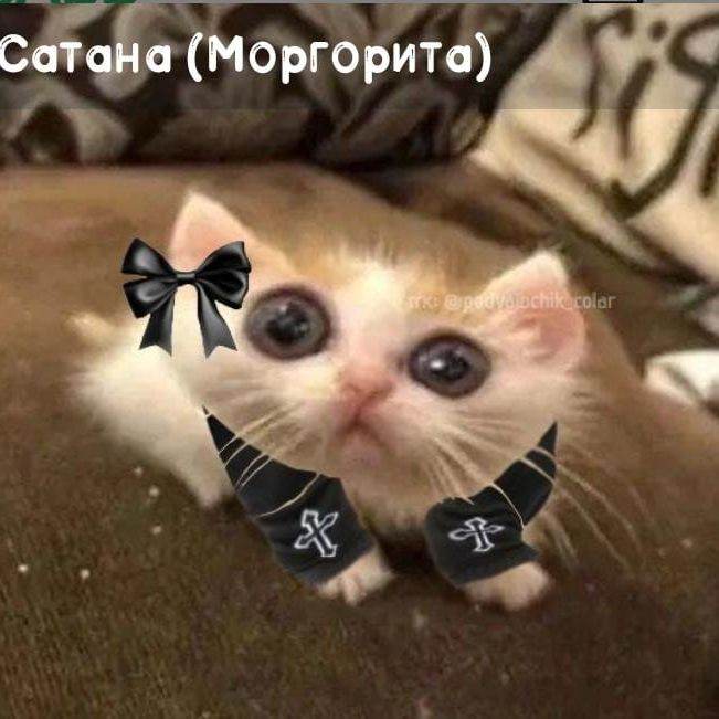сатана(марго)