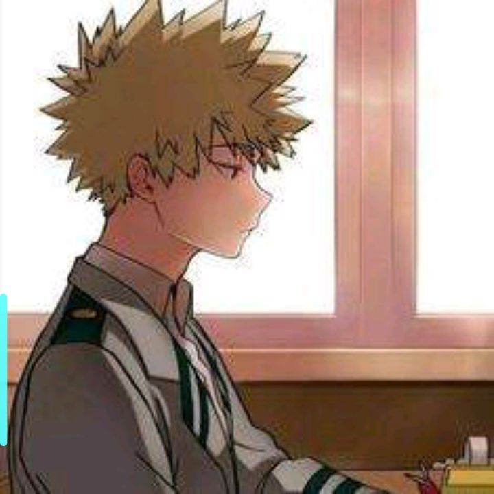 Bakugou(BL, Novio,Gay)