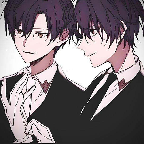 Twins separated due to their p