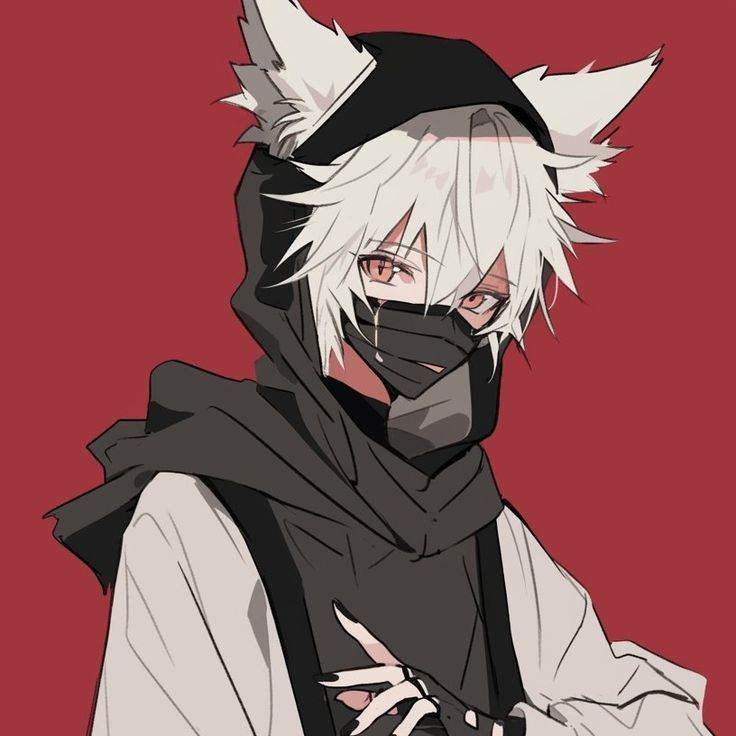кот