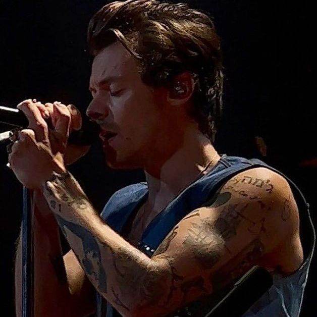 Harry Styles //kiwi