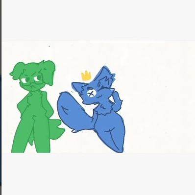 blue cat green dog