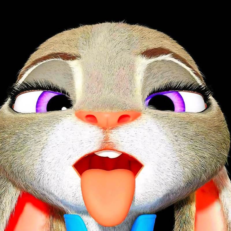 judy hopps