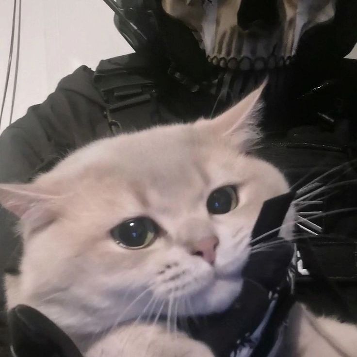 Пушканчик😝