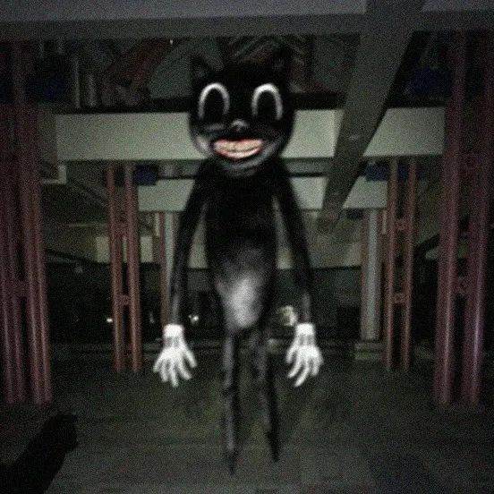 카툰캣