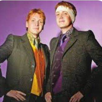 The Weasley Twins,