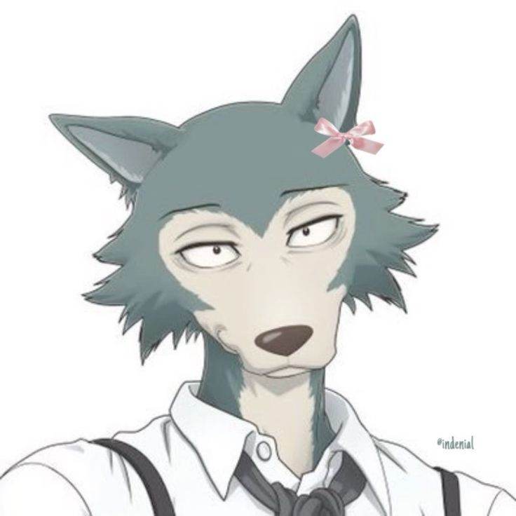 legoshi |🐺🐾