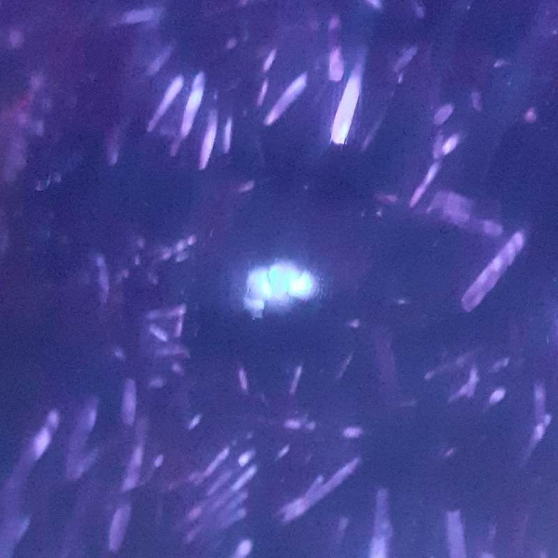 blind dog (lethal company vsn)