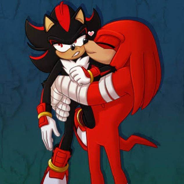 Knuckles x Shadow