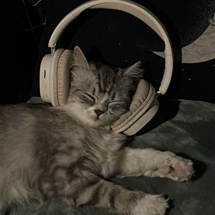 🐉🔥ᥲmᥲᥡᥲ 𝗍ᥲkᥱrᥙ kᥒᥡ🐲