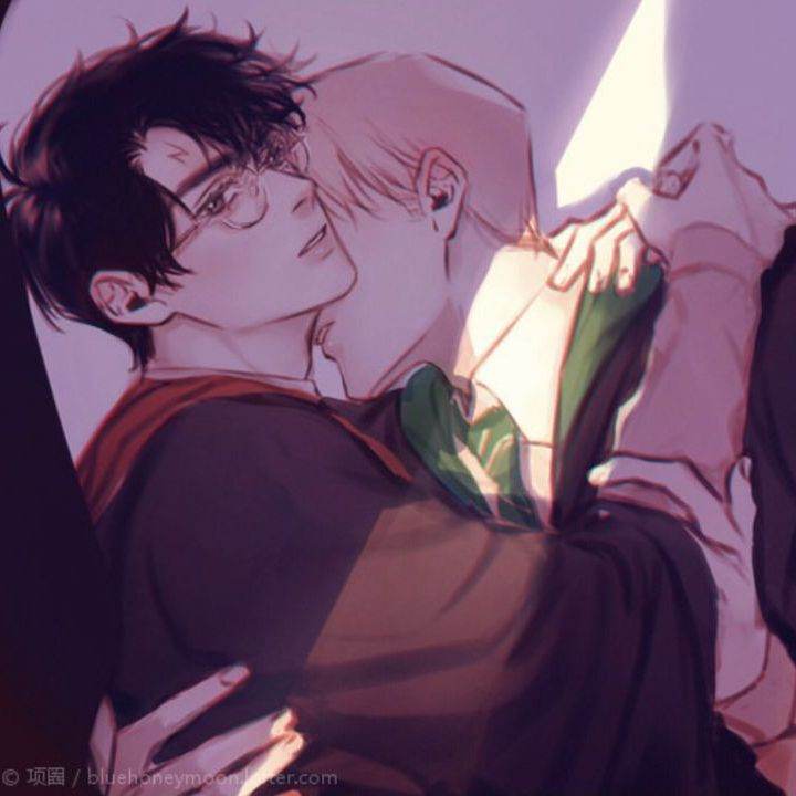 draco malfoy e herry Potter