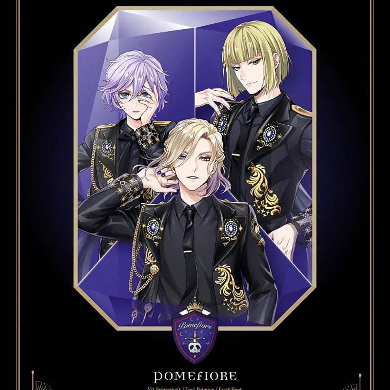 Twisted Wonderland Adult Care