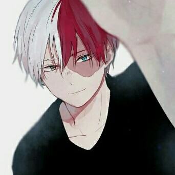 ♡todoroki♡