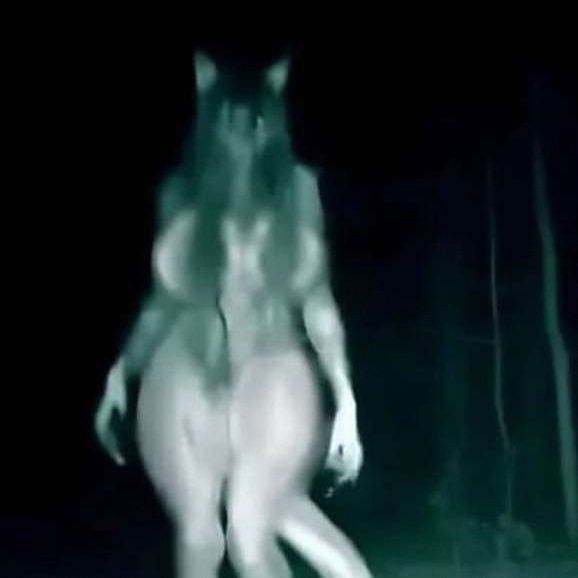 Creature in the woods