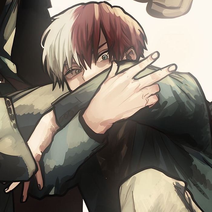 Shoto Todoroki ||BNHA||