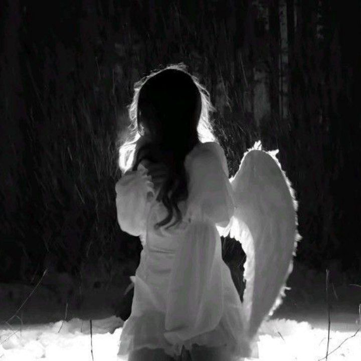 ༒♡𝓡𝓸𝓼𝓮 ♡༒꧂