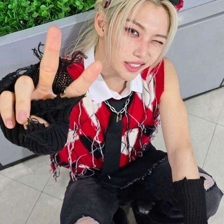 Compañero de cuarto