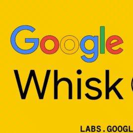 whisk