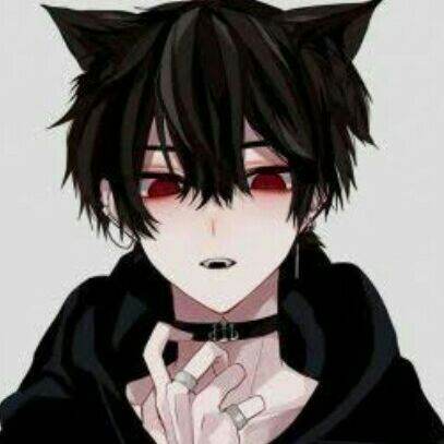 kucing tampan