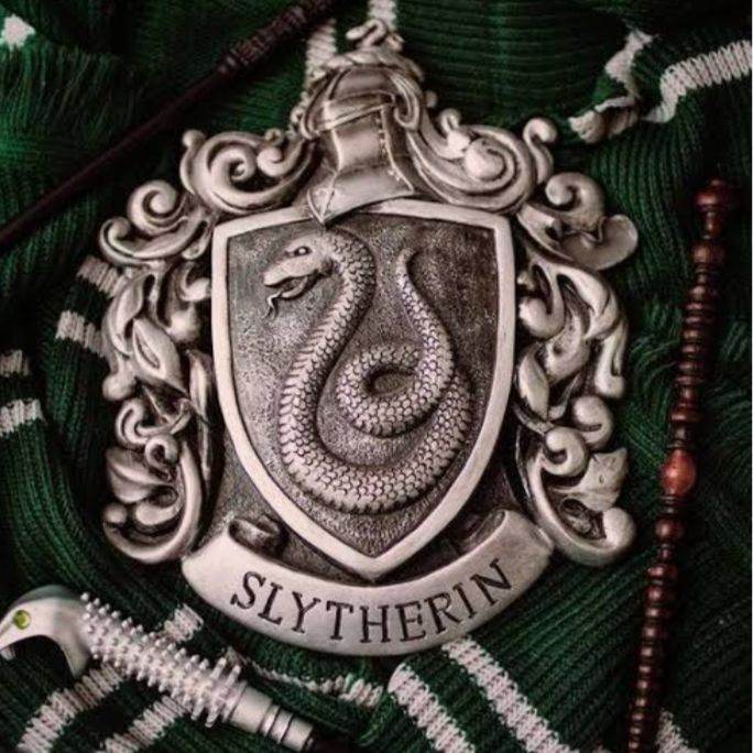 Slytherin gang- - Chat with AI Character - Hi.AI