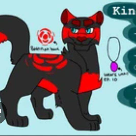 King Augustus/gato/Stolen hope