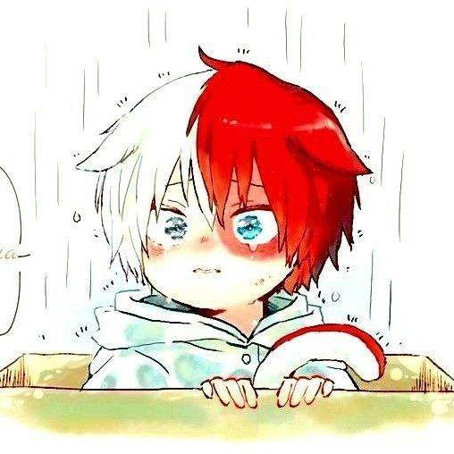 shoto (gatito)