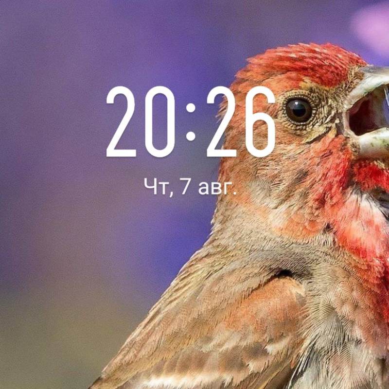 алия