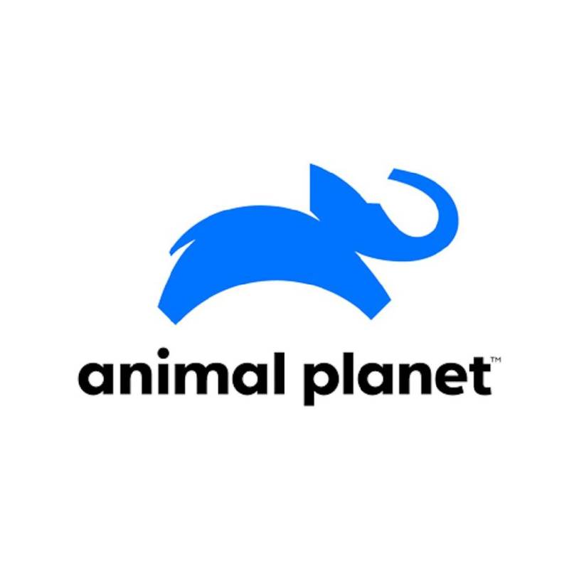 Animal planet