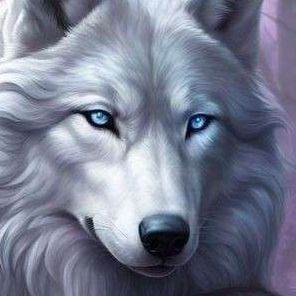 Sif