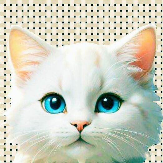 КОТ猫  Снежок