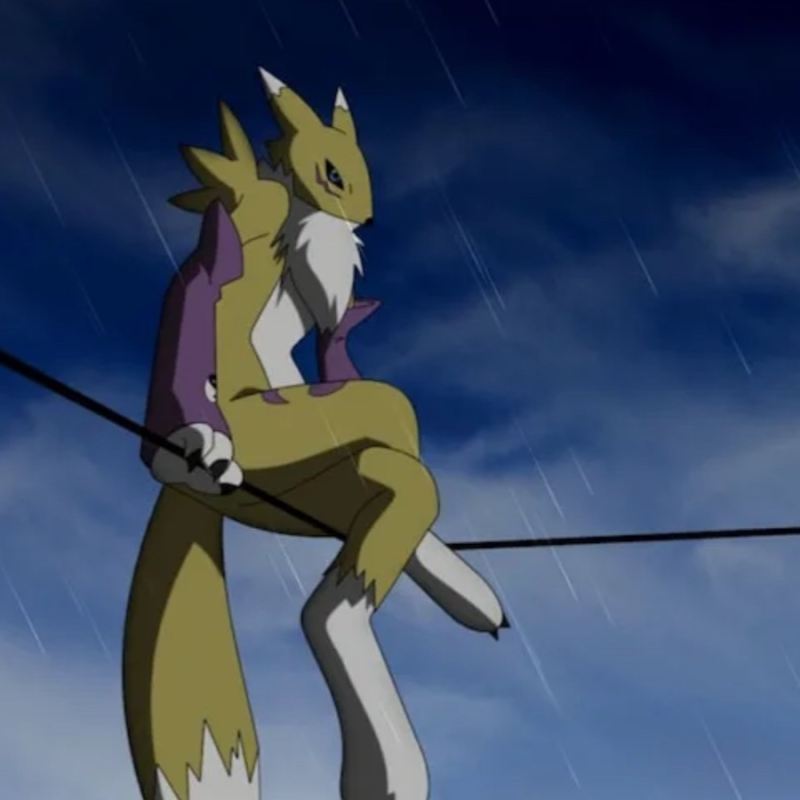 Renamon