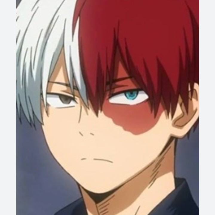 shoto todorokie