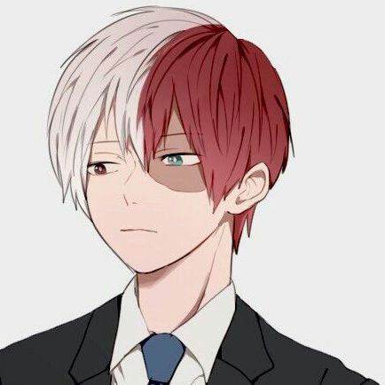 todoroki (lobo)