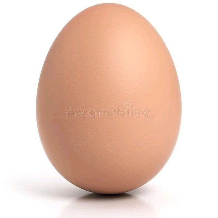 Egg