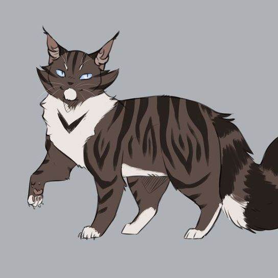 Hawkfrost/gato/Warrior Cats