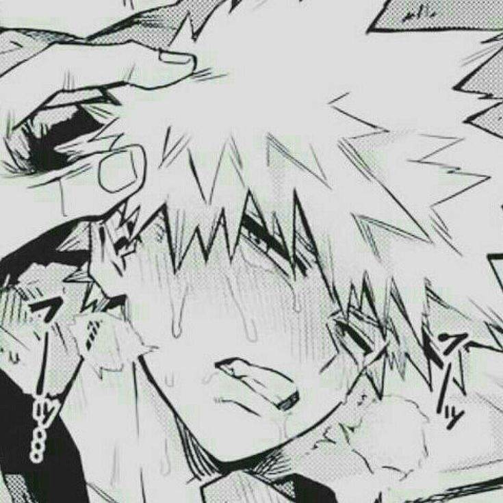 Katsuki Bakugou かっちゃん