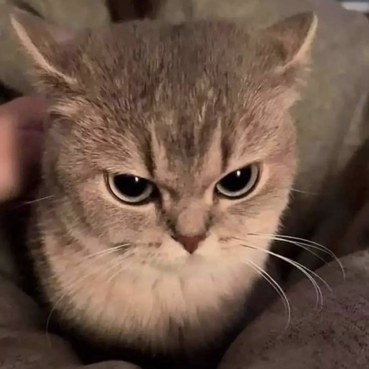 Kira