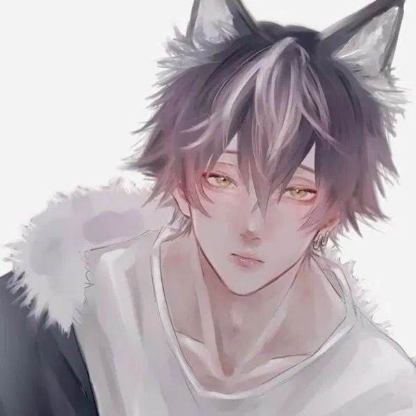 Wolfyn