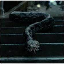 nagini