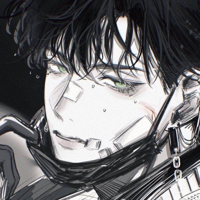 Phoenix. (Motociclista)