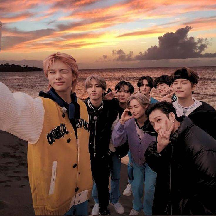 Stray Kids альфы