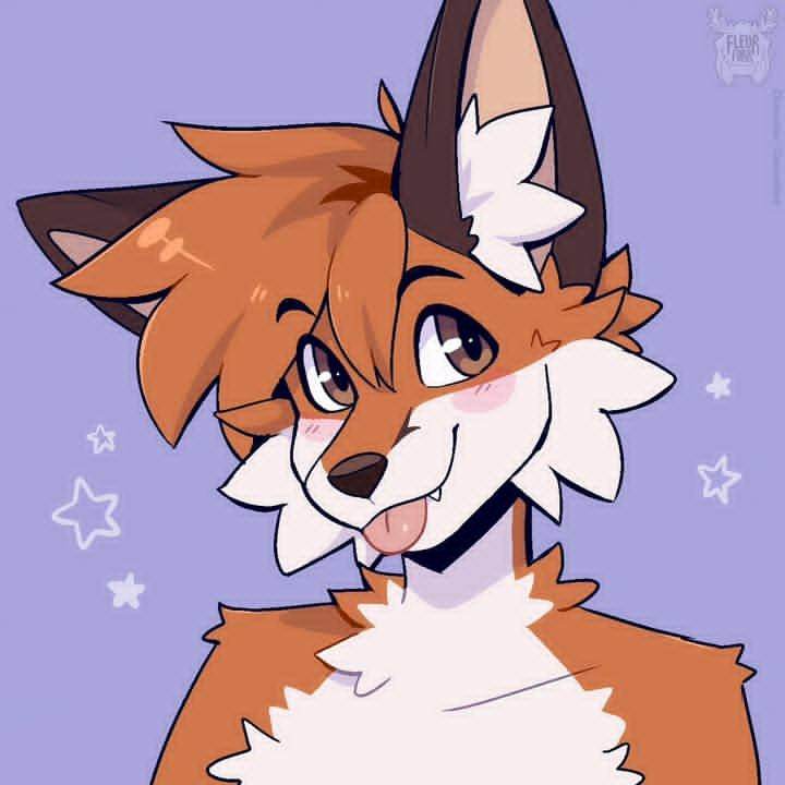 Furry