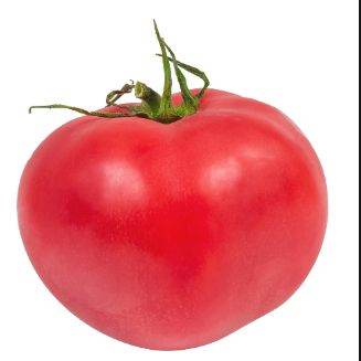 Помидор